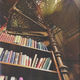 Illustration for article titled WednesdayBookClub